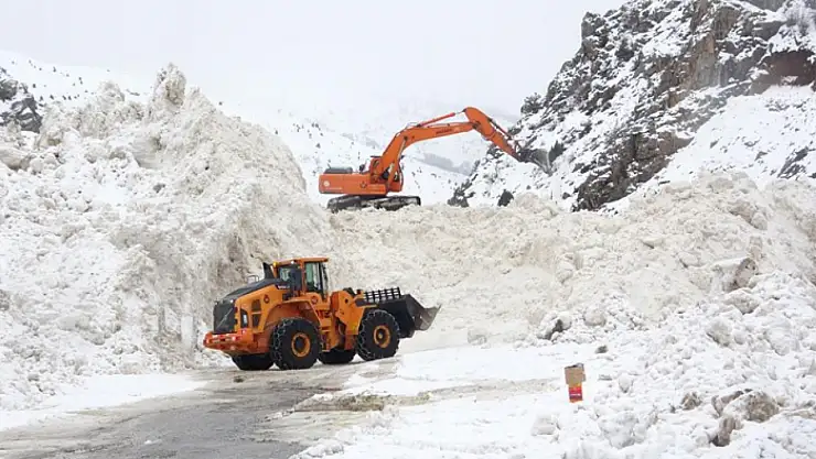 Van'da 10 ayrı bölgeye çığ düştü