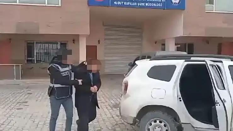 Van'da 10 organizatör yakalandı