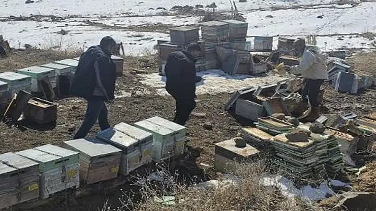Van'da 100 kovan arı telef oldu