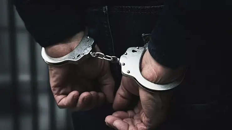 Van'da 12 kişi tutuklandı