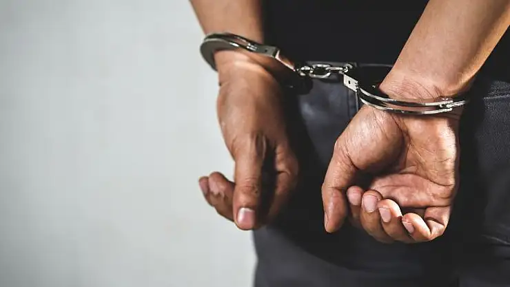Van'da 24 kişi tutuklandı