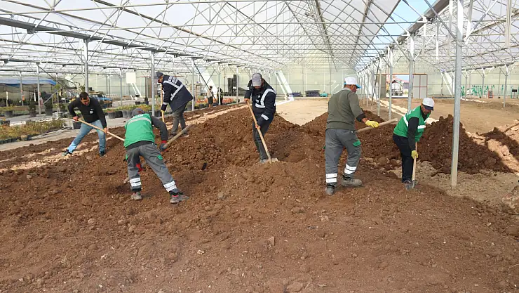Van'da 4.000 m²'lik sera alanı yenilendi