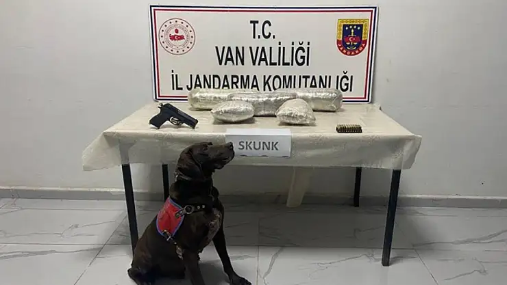 Van'da 4 kilo 311 gram skunk ve gümrük kaçağı malzeme ele geçirildi