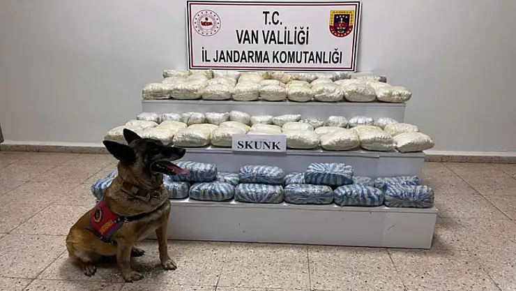 Van'da 47 kilo skunk ele geçirildi