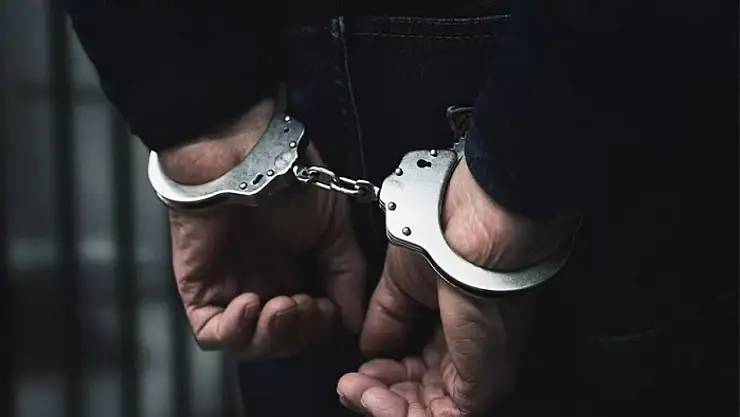 Van'da 48 kişi tutuklandı