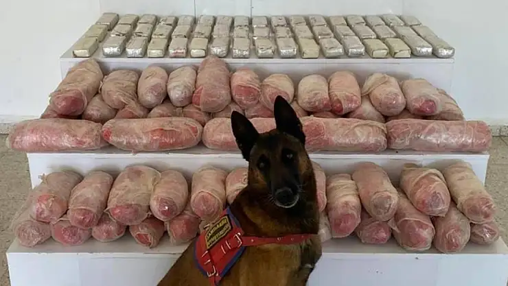 Van'da 67 kilo uyuşturucu ele geçirildi