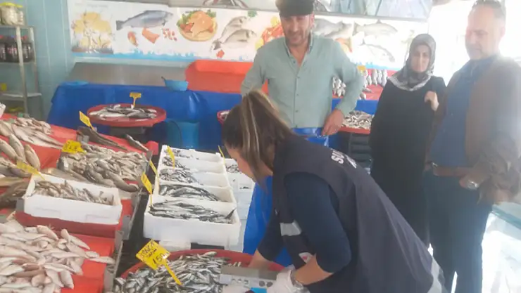 Van'da balık satan işletmelere denetim