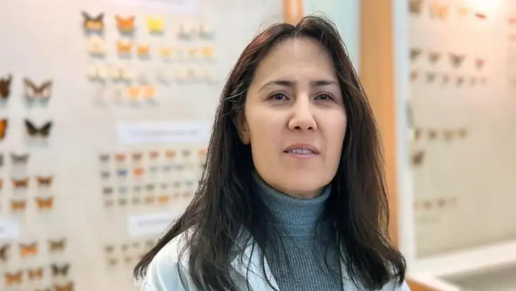Van'da binlerce kelebeğin korunduğu araştırma koleksiyonu