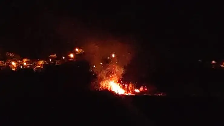 Van'da birçok kuş türüne ev sahipliği yapan sazlık alan yandı