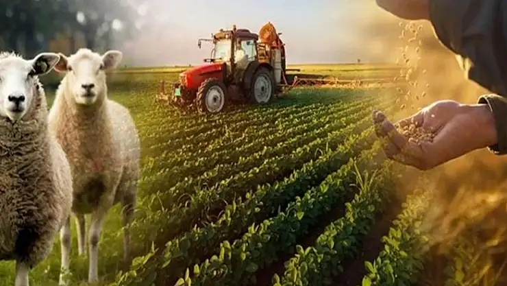 Van'da ÇKS başvuruları için hafta sonu mesaisi