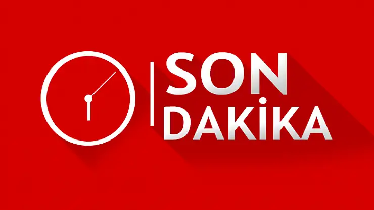 Van'da geyik avına çıkan şahıs yakalandı