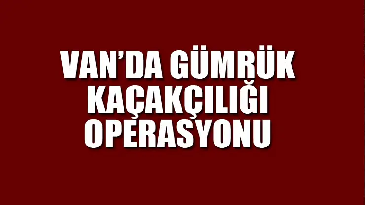 Van'da gümrük kaçakçılığı operasyonu