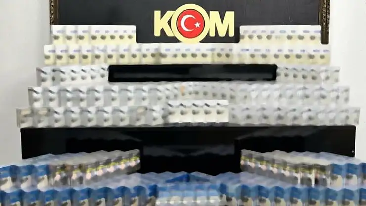 Van'da gümrük kaçakçılığı operasyonu