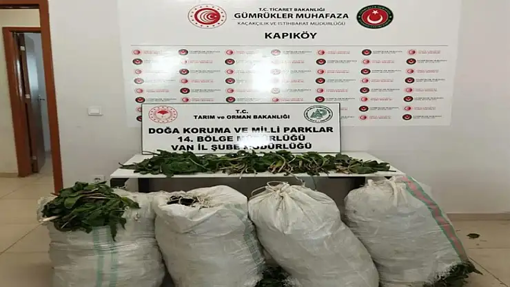 Van'da İran uyruklu 1 kişiye 387 bin 141 lira ceza verildi