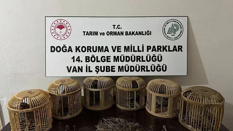 Van'da kafes avcılarına büyük ceza