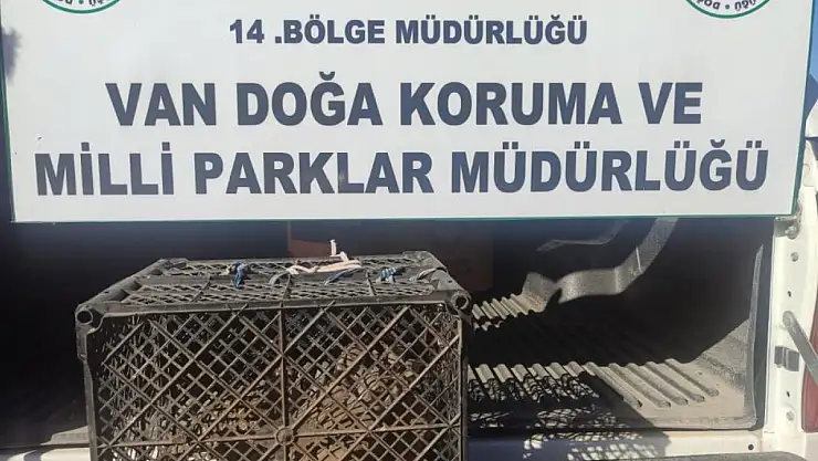 Van'da kafes avcılığı yapan şahsa 53 bin lira cezai işlem uygulanacak