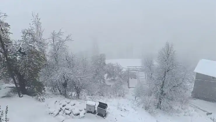 Van'da kar yağışı