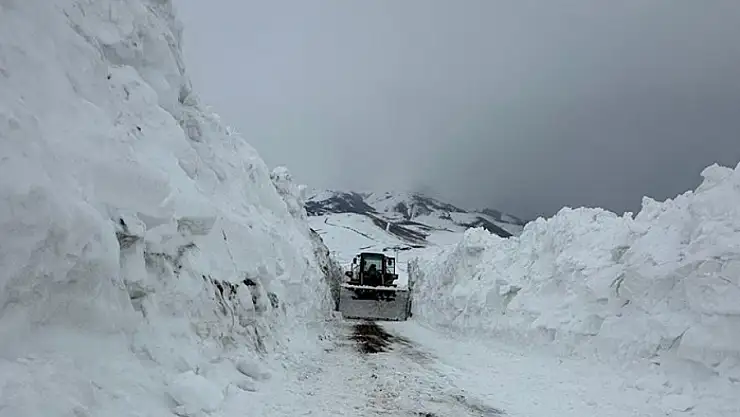 Van'da mahalle yoluna çığ düştü