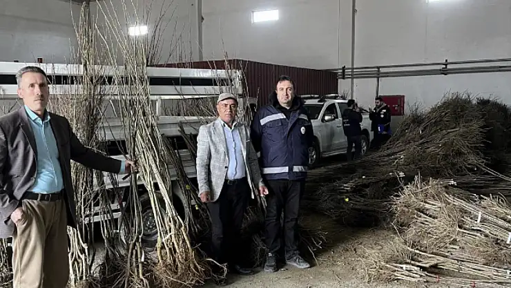 Van'da meyvecilikte büyük adım: 25 bin fidan dikildi