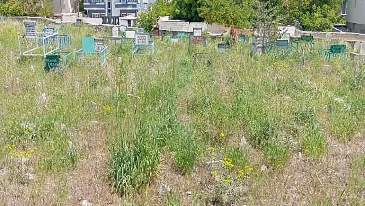 Van'da mezarlıklar bakım onarım bekliyor