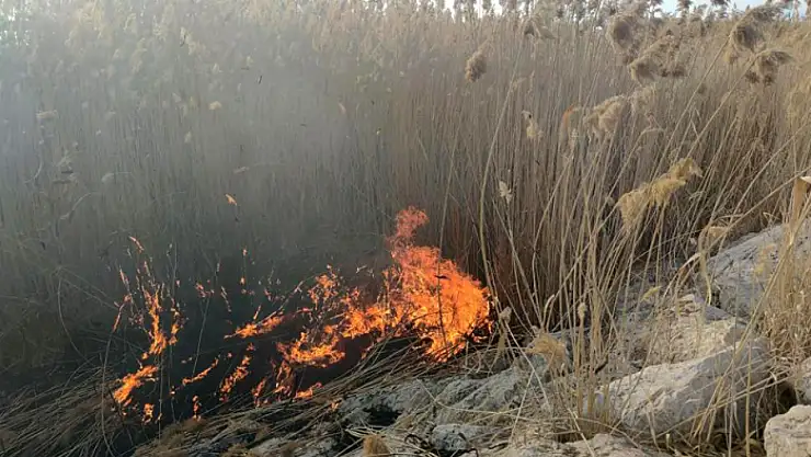 Van'da sazlık alanda yangın