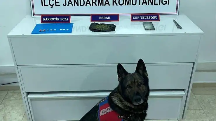 Van'da uyuşturucu madde operasyonu