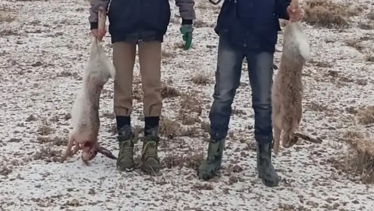 Van'da vurduğu tavşanları sosyal medyadan paylaşan şahsa 14 bin lira ceza