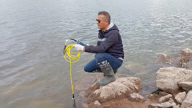 Van'da yaşanan balık ölümlerinin nedeni araştırılıyor