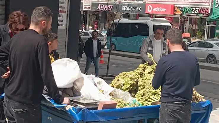 Van'da yayla muzu tezgahlardaki yerini aldı