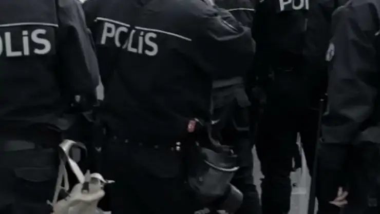 Van dahil 10 ilde dolandırıcılık operasyonu!