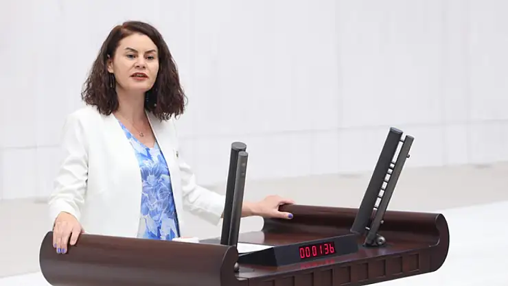 Van'daki okulların ısınma sorunu meclis gündeminde