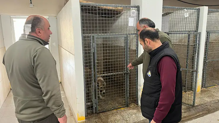 Van DKMP ekiplerinden hayvan bakımevi ve doğal yaşam alanı denetimi