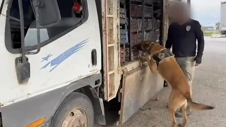 Van Emniyeti elma kasalarının içinde 40 milyonluk uyuşturucu yakaladı