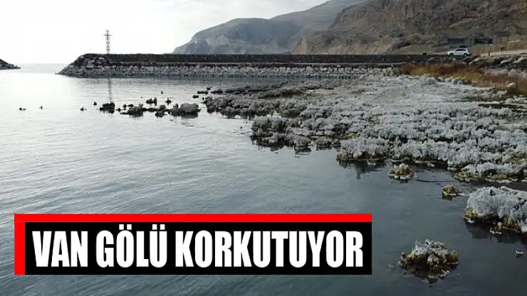 Van Gölü korkutuyor