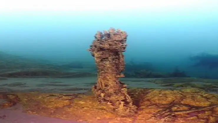 Van Gölü'nde Mercan Kolonileri Bulundu