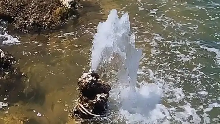 Van Gölü'nde şaşırtan görüntü: Mikrobiyalitten tatlı su fışkırdı