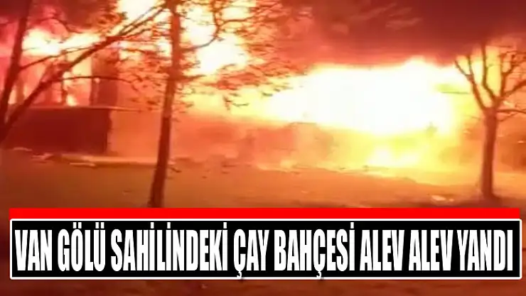Van Gölü sahilindeki çay bahçesi alev alev yandı