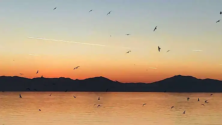 Van Gölü üzerinde kuş sürüsünün görsel şöleni