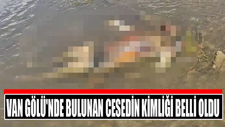 Van Gölü'nde bulunan cesedin kimliği belli oldu