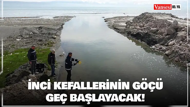 Van Gölü'ndeki inci kefallerinin göçü geç başlayacak