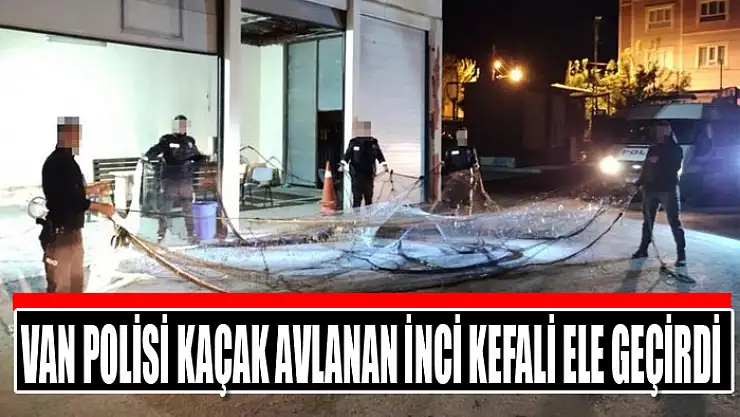Van polisi kaçak avlanan inci kefali ele geçirdi