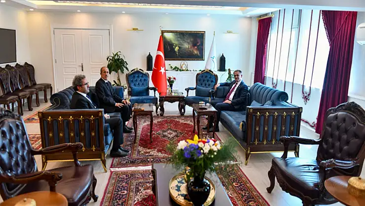 Van Sanayi ve Teknoloji İl Müdürü Tezcan'dan Vali Balcı'ya ziyaret