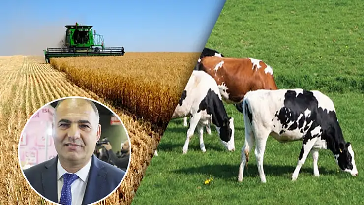 Van, Tarım Hayvancılık ve Gıda Fuarına hazırlanıyor