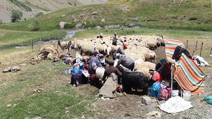 Van Tarım ve Orman İl Müdürlüğü'nden Gürpınar'da denetim