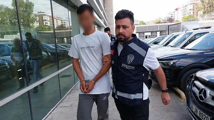 Van üzerinden Türkiye'ye kaçak göçmen sokan 2 kişi yakalandı