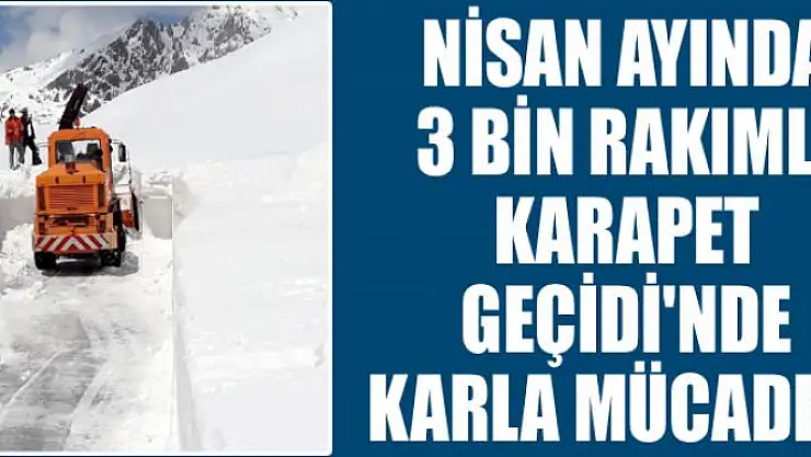 Nisan ayında 3 bin rakımlı Karapet Geçidi'nde karla mücadele