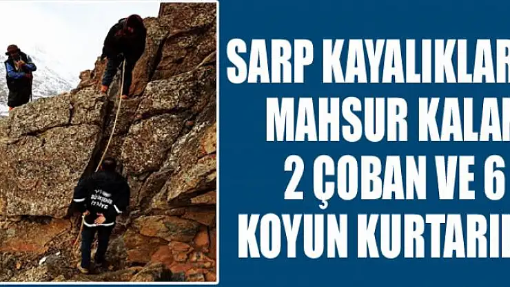 Sarp kayalıklarda mahsur kalan 2 çoban ve 6 koyun kurtarıldı