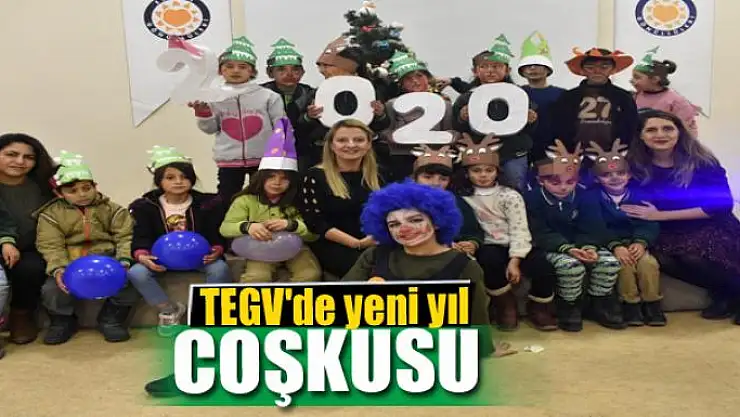 TEGV'de yeni yıl coşkusu