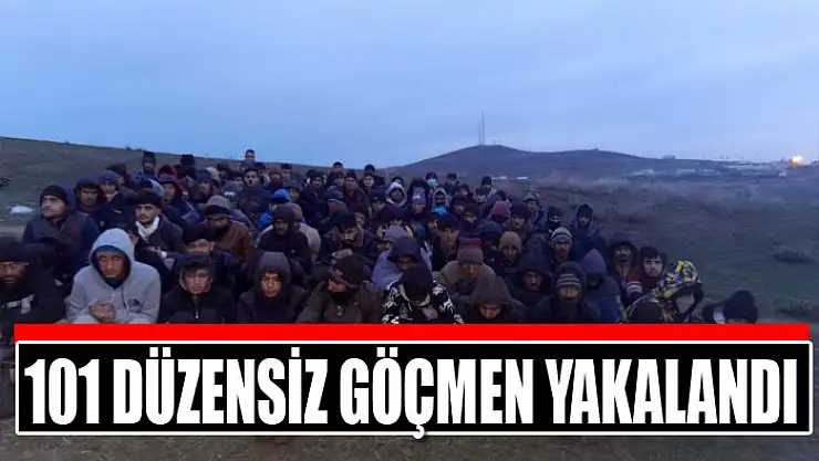 Van'da 101 düzensiz göçmen yakalandı