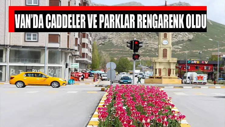 VAN'DA CADDELER VE PARKLAR RENGARENK OLDU